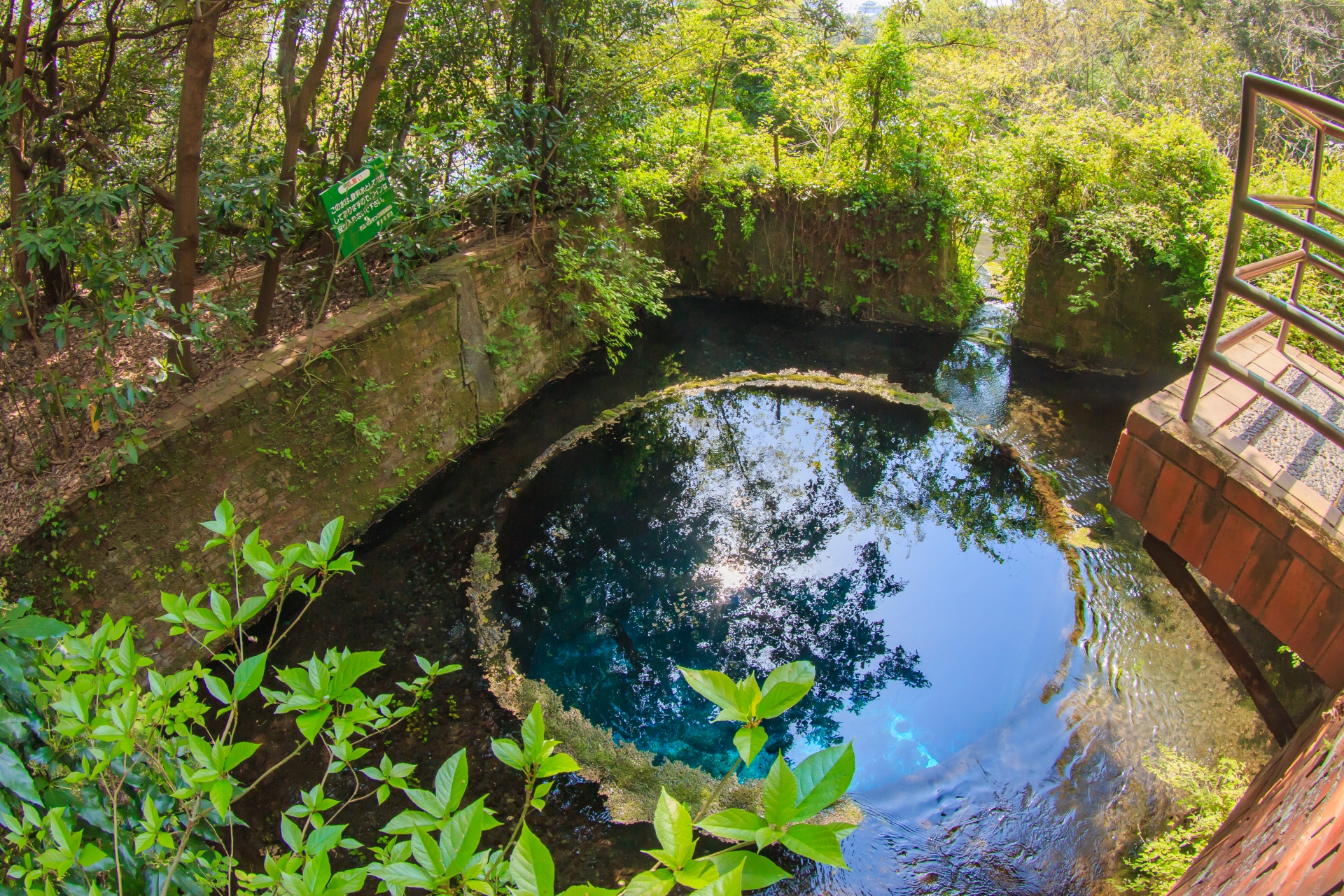 富士山　湧き水